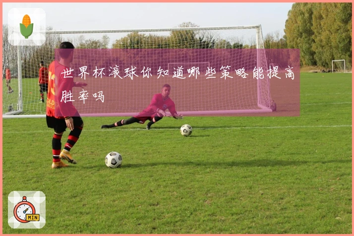 世界杯滚球你知道哪些策略能提高胜率吗