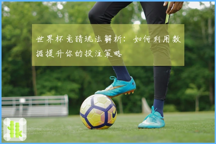 世界杯竞猜玩法解析：如何利用数据提升你的投注策略