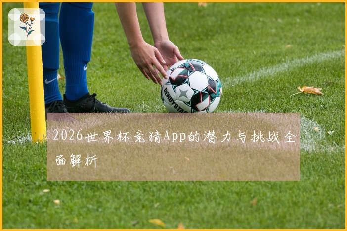 2026世界杯竞猜App的潜力与挑战全面解析