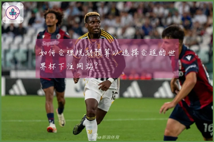 如何合理规划预算以选择合适的世界杯下注网站？
