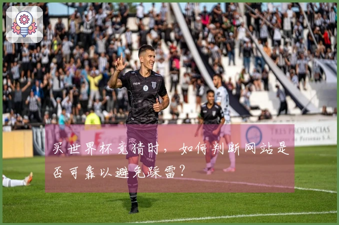 买世界杯竞猜时，如何判断网站是否可靠以避免踩雷？