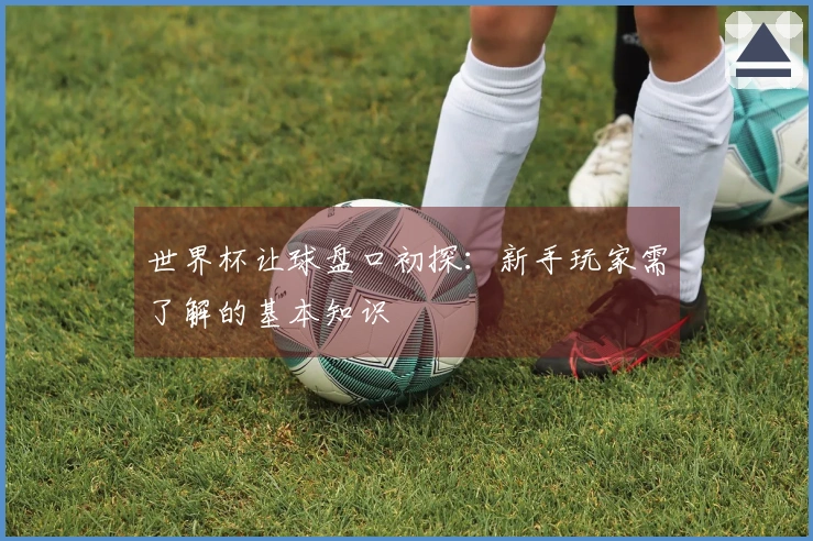 世界杯让球盘口初探：新手玩家需了解的基本知识