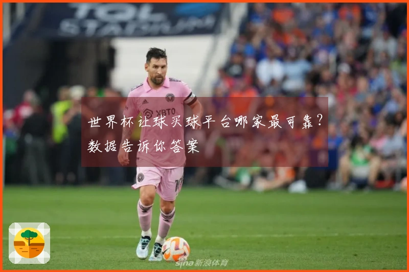 世界杯让球买球平台哪家最可靠？数据告诉你答案