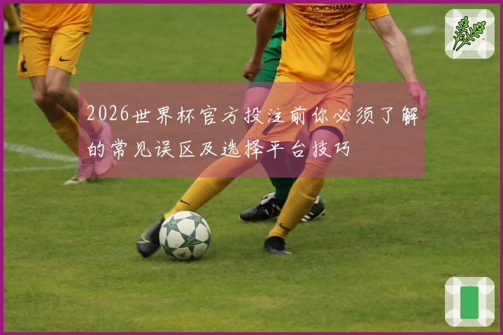 2026世界杯官方投注前你必须了解的常见误区及选择平台技巧