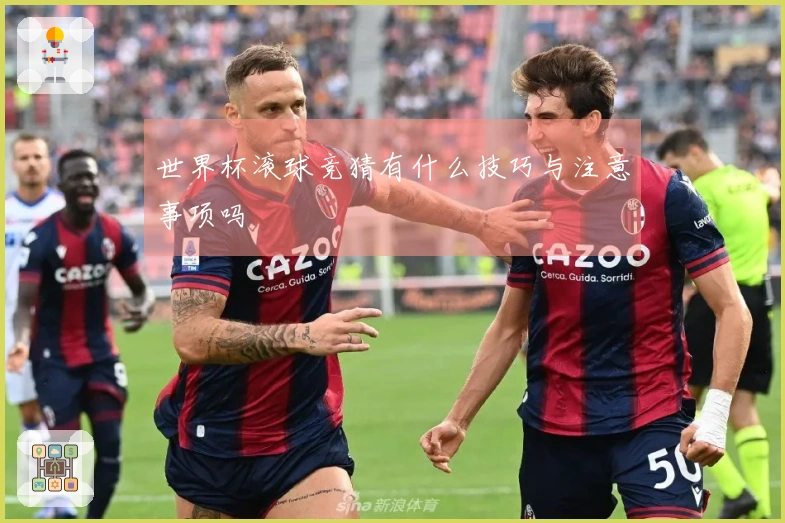 世界杯滚球竞猜有什么技巧与注意事项吗