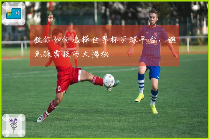 教你如何选择世界杯买球平台，避免踩雷技巧大揭秘