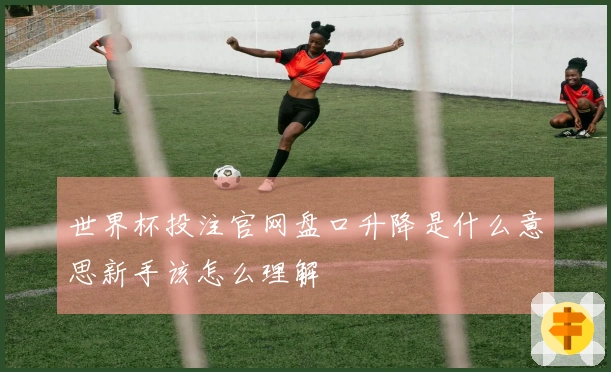 世界杯投注官网盘口升降是什么意思新手该怎么理解