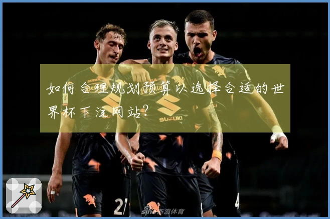 如何合理规划预算以选择合适的世界杯下注网站？