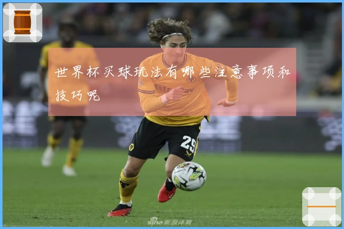 世界杯买球玩法有哪些注意事项和技巧呢