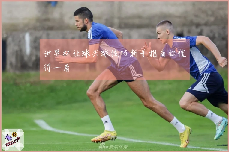 世界杯让球买球技巧新手指南你值得一看