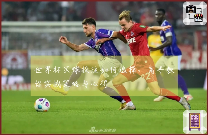 世界杯买球投注如何选择，高手教你实战策略与心得