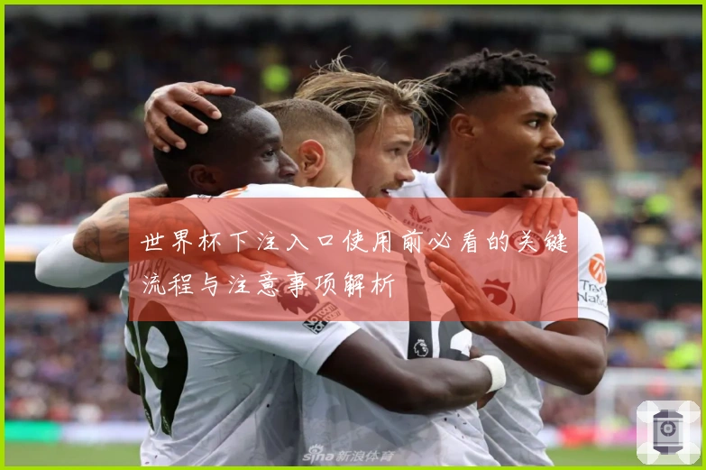 世界杯下注入口使用前必看的关键流程与注意事项解析
