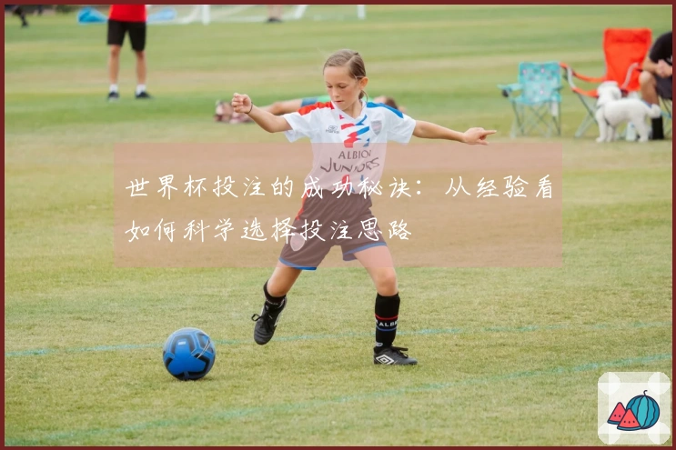 世界杯投注的成功秘诀：从经验看如何科学选择投注思路