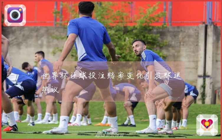 世界杯让球投注赔率变化引发球迷热议