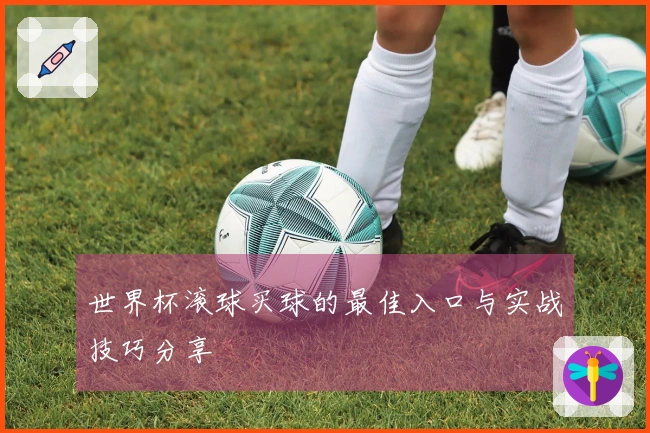 世界杯滚球买球的最佳入口与实战技巧分享