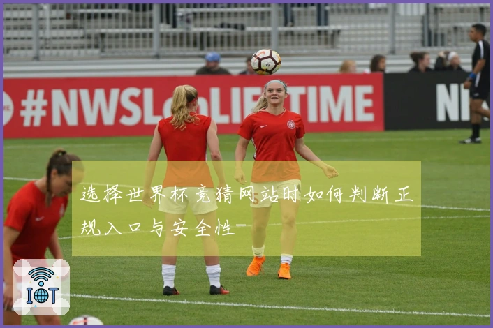 选择世界杯竞猜网站时如何判断正规入口与安全性-