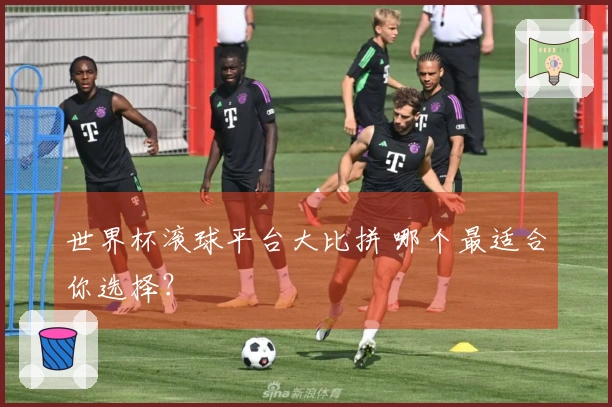 世界杯滚球平台大比拼 哪个最适合你选择？
