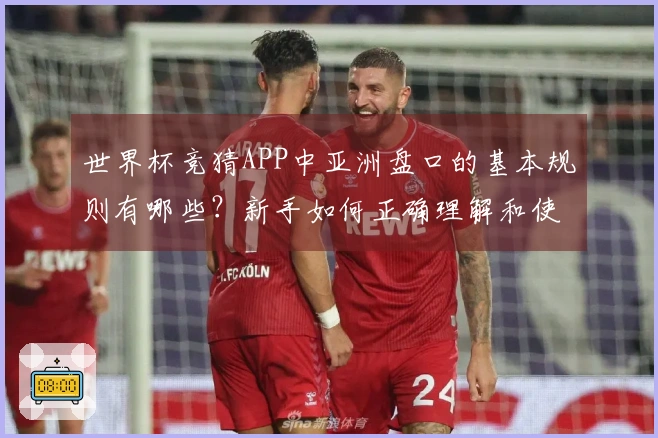 世界杯竞猜APP中亚洲盘口的基本规则有哪些？新手如何正确理解和使用？