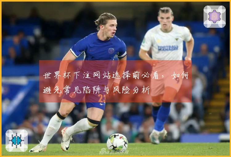 世界杯下注网站选择前必看，如何避免常见陷阱与风险分析