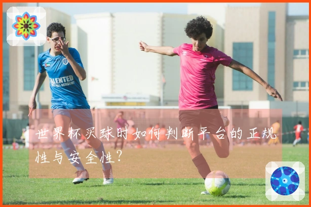 世界杯买球时如何判断平台的正规性与安全性？