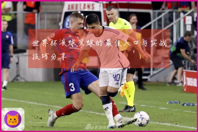 世界杯滚球买球的最佳入口与实战技巧分享