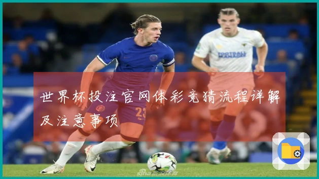 世界杯投注官网体彩竞猜流程详解及注意事项